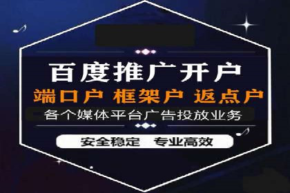 信息流广告代理项目案例分析